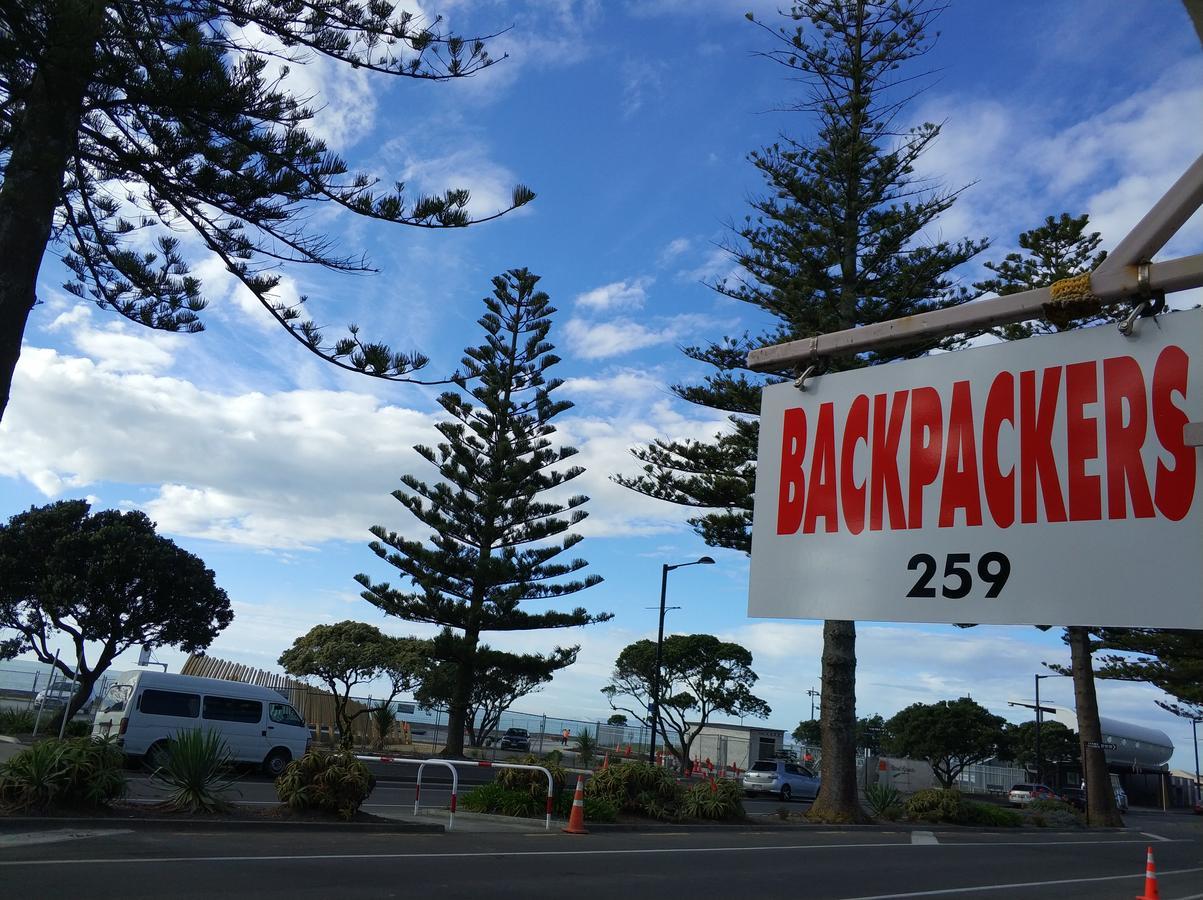 Napier Art House Backpackers Hostel Luaran gambar